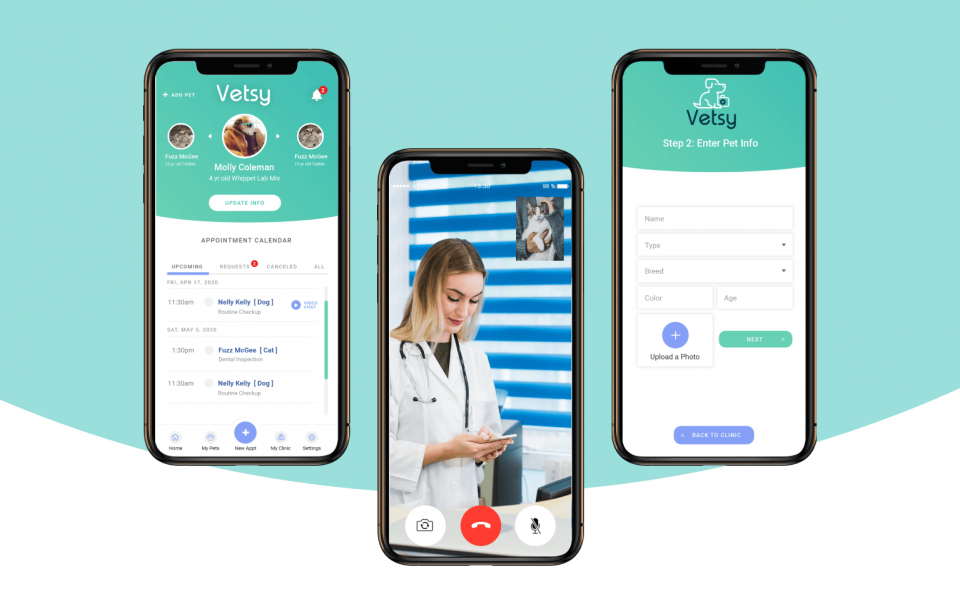 Vetsy App