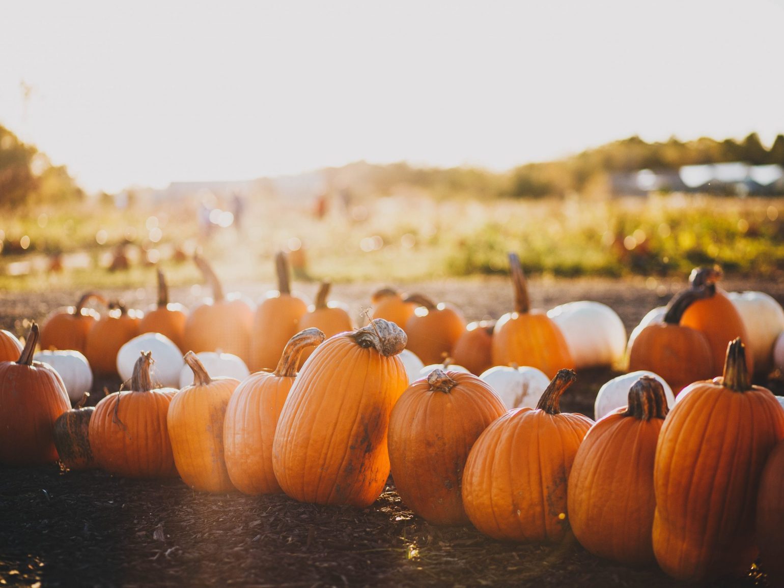 Warm Up Your Marketing Efforts for Fall